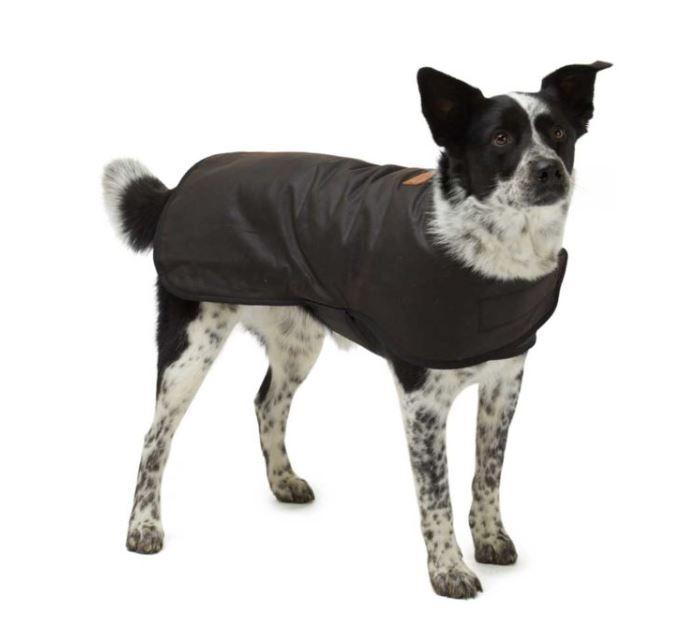 Waterproof dog coat made from Australian oilskin and wool