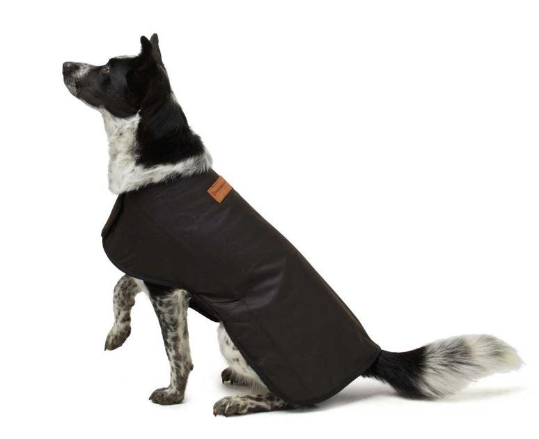 Oilskin dog coats