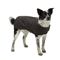 Thumbnail for Oilskin Waterproof Woollen Dog Coats