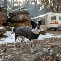 Thumbnail for Oilskin Waterproof Woollen Dog Coats