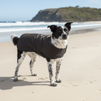 Thumbnail for Australian Oilskin Dog Rain Coat – Rugged, Waterproof Protection for the Great Outdoors