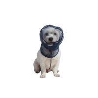 Thumbnail for White dog wearing a dog protective net on a white background