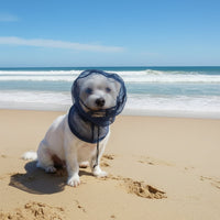 Thumbnail for Dog Fly Protection Net