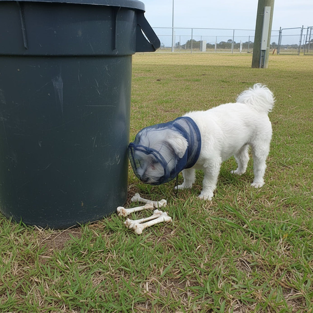 Dog Fly Protection Net