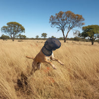 Thumbnail for Dog Fly Protection Net