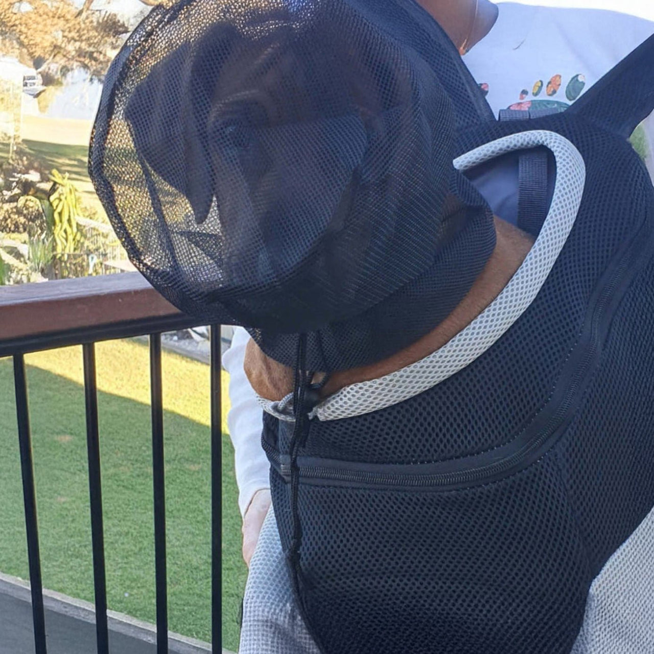 Dog Fly Protection Net