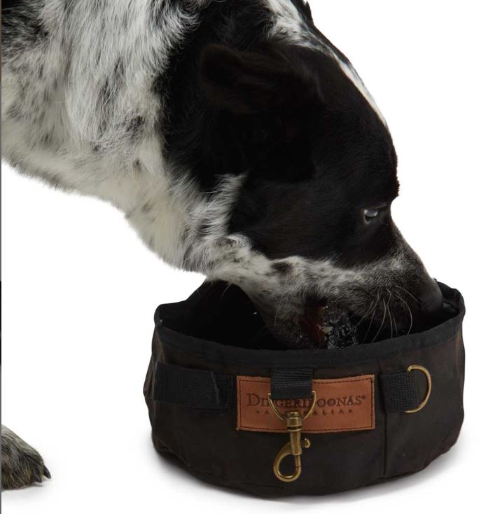 Oilskin dog water bowl