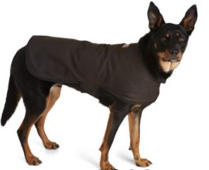 Dog Coat, Raincoat, Oilskin, OzWit,