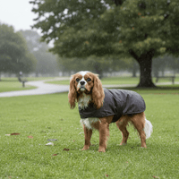 Thumbnail for Australian Oilskin Dog Rain Coat – Rugged, Waterproof Protection for the Great Outdoors