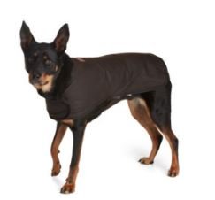 Dog Coat, Raincoat, Oilskin, OzWit,