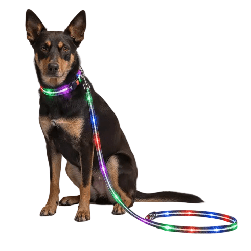 Waterproof LED Dog Collar & Leash Set | Night Safety & Camping Gear