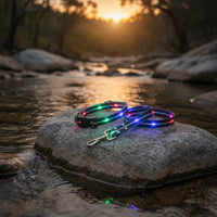 Thumbnail for LED dog collar and leash on a rock by a river at sunset