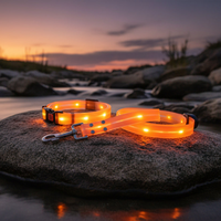 Thumbnail for Waterproof LED Dog Collar & Leash Set | Night Safety & Camping Gear