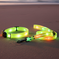 Thumbnail for Waterproof LED Dog Collar & Leash Set | Night Safety & Camping Gear