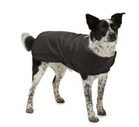 Thumbnail for Waterproof dog coat made from Australian oilskin and wool