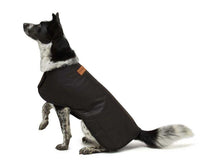 Thumbnail for Oilskin dog coats