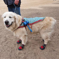 Thumbnail for Dog shoes, dog socks, dog booties, waterproof dog shoes, outdoor dog shoes for small to extra large dogs, anti slip dog shoes